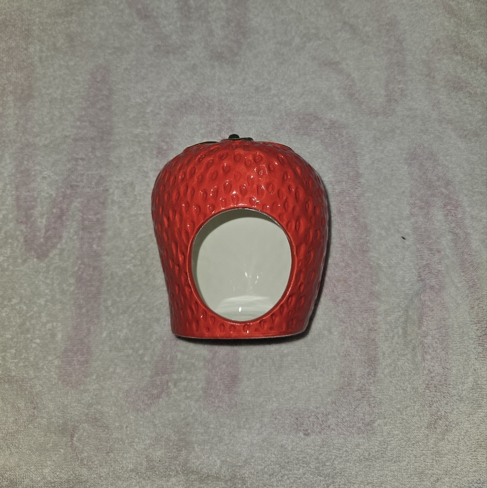 Red Strawberry Ceramic Sponge Holder